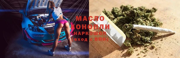 тгк Алзамай