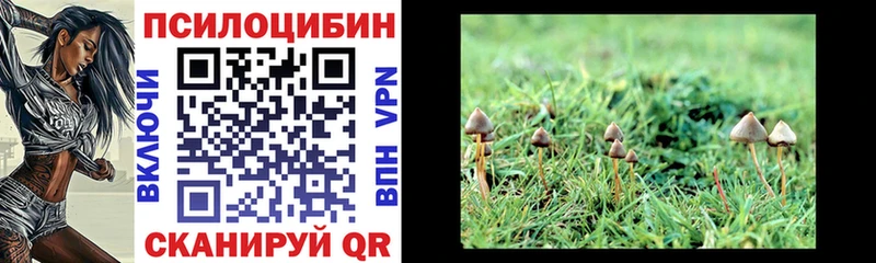 даркнет сайт  Закаменск  Псилоцибиновые грибы ЛСД 